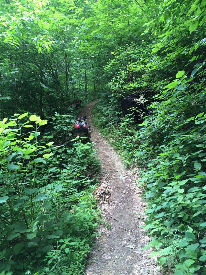 11008794_1117152458301133_5198130575306297854_n